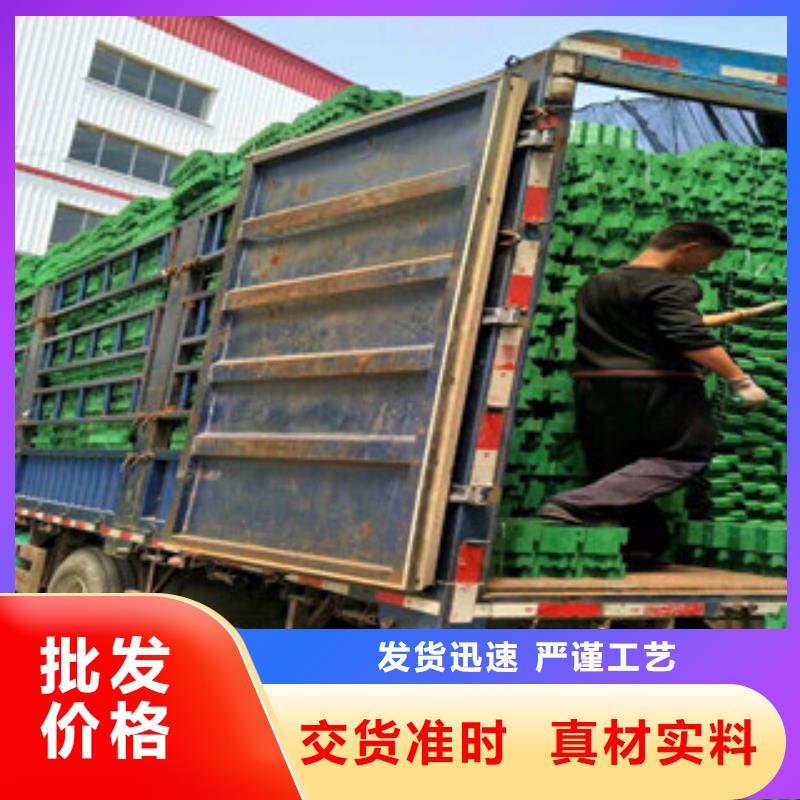 环保植草格-膨润土防水毯厂家经验丰富质量放心