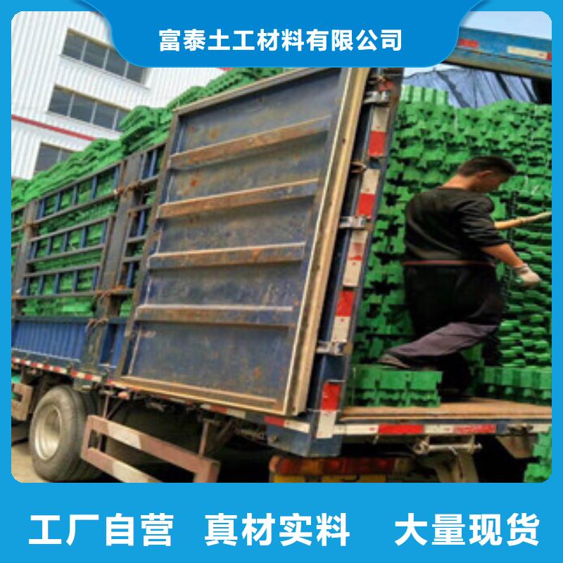 环保植草格土工布厂家质量可靠