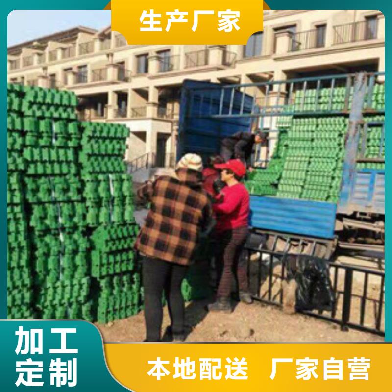 环保植草格_排水板厂家严选材质