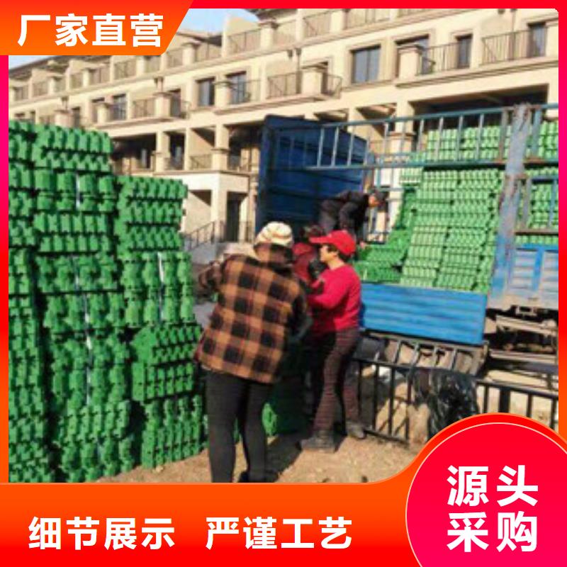 环保植草格-膨润土防水毯厂家经验丰富质量放心