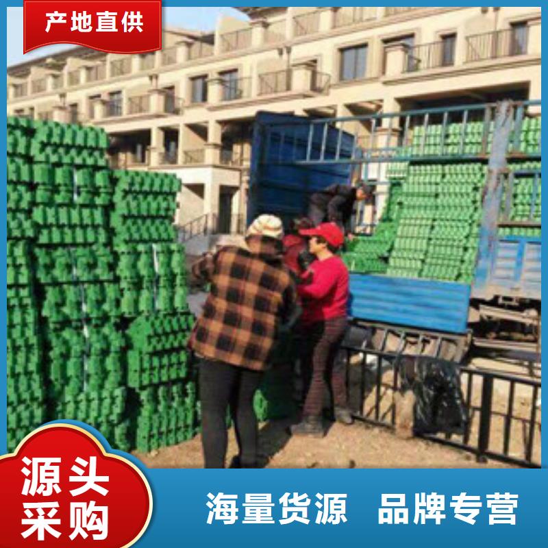 【环保植草格土工膜厂家定制销售售后为一体】