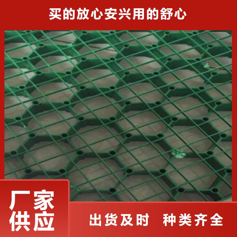 环保植草格土工膜厂家品质优良