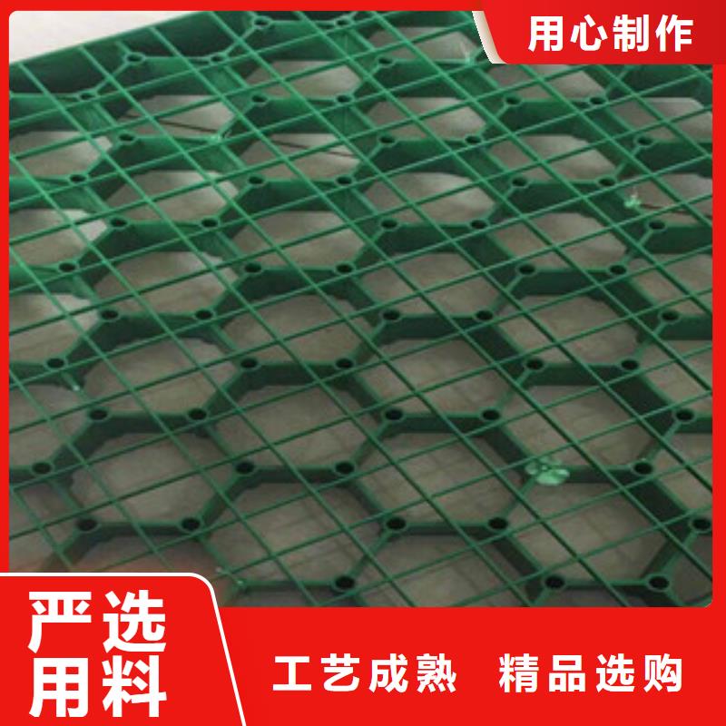 【环保植草格土工膜厂家定制销售售后为一体】