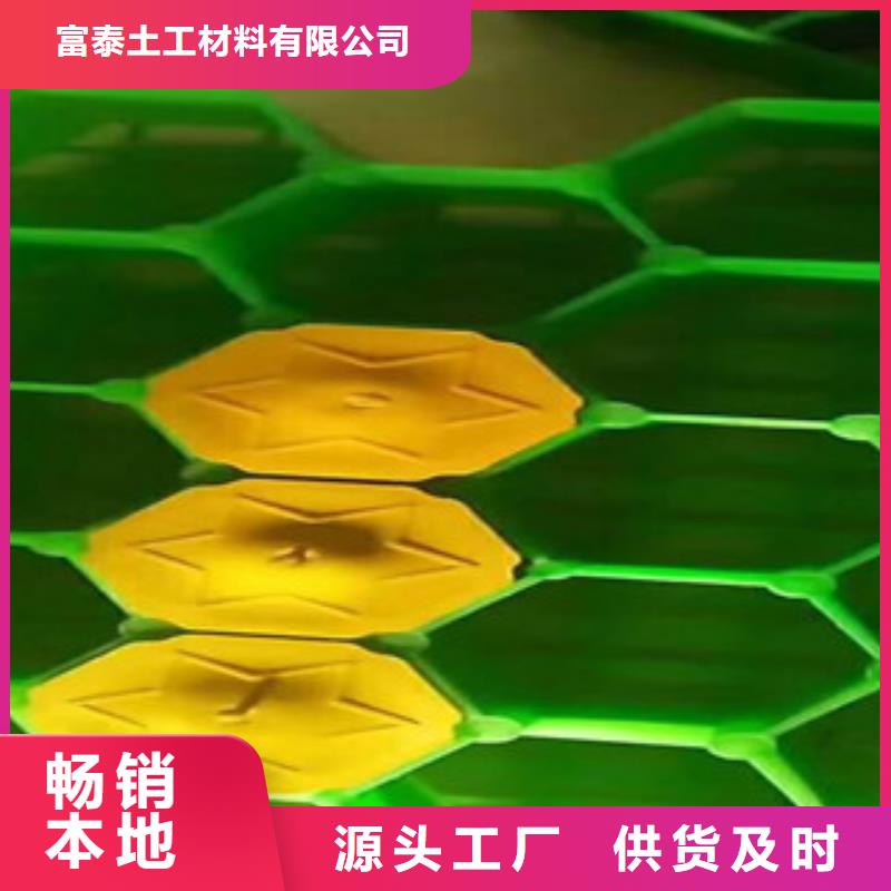环保植草格-植草格厂家的简单介绍