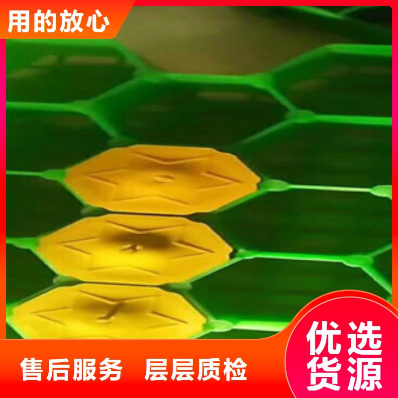 环保植草格土工布厂家老客户钟爱