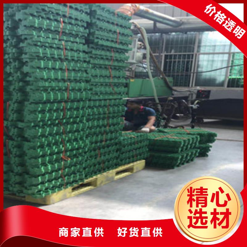 环保植草格土工膜厂家今年新款