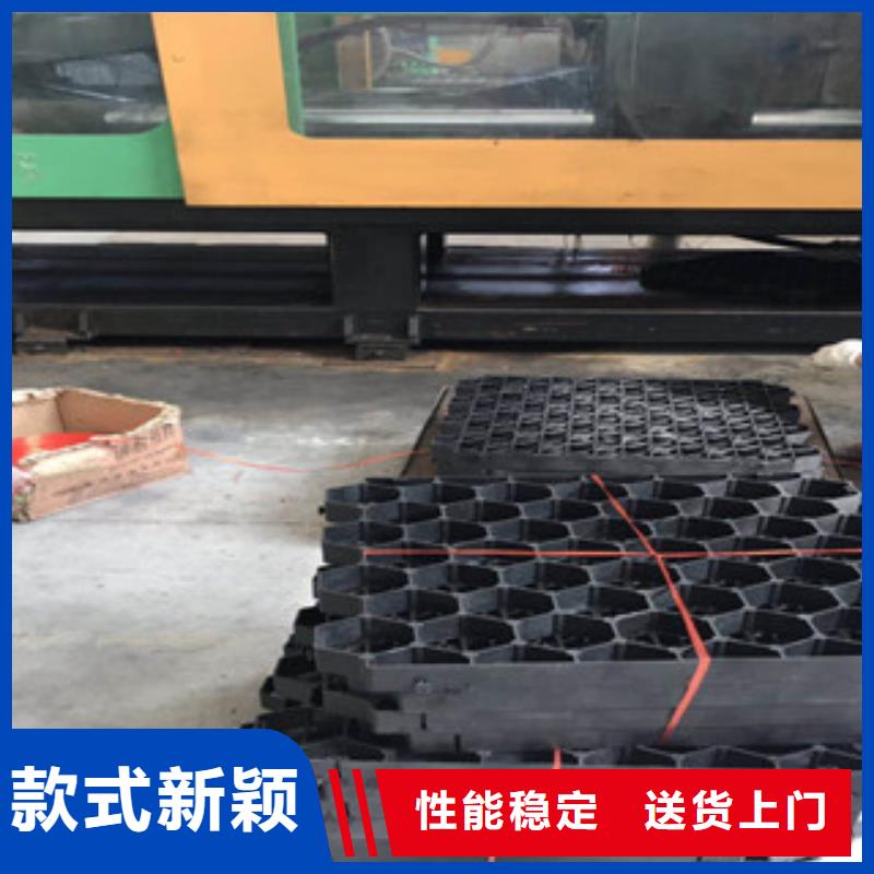 【环保植草格膨润土防水毯厂家专业厂家】