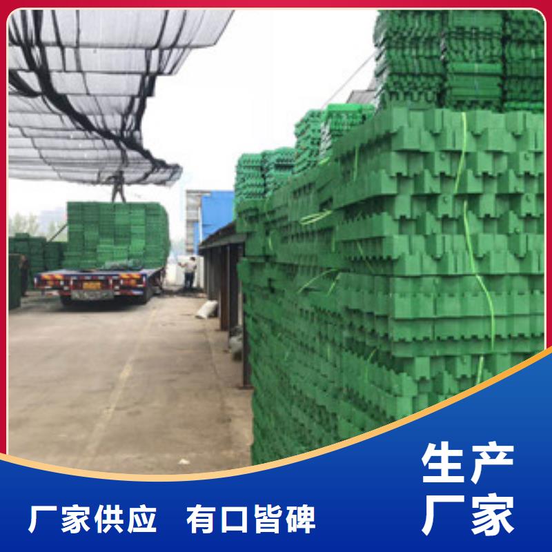 环保植草格土工膜厂家今年新款