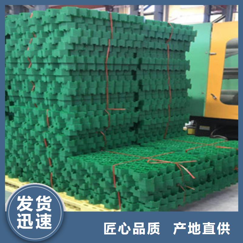 【环保植草格】植草格厂家货源直供
