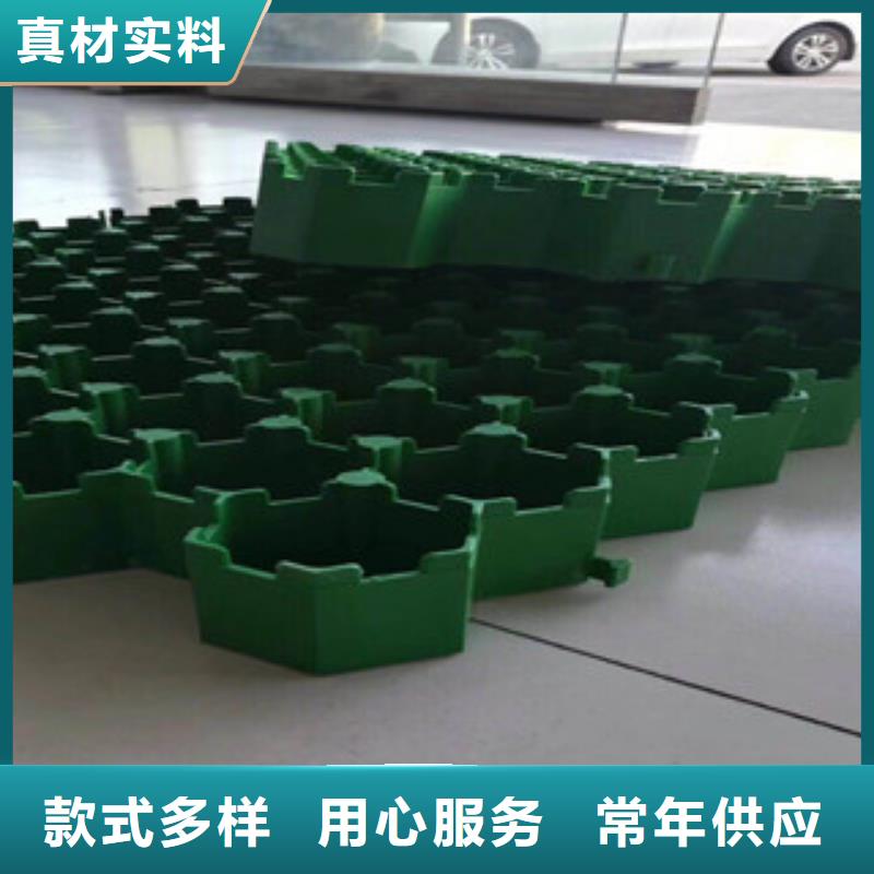 环保植草格_膨润土防水毯厂家厂家直接面向客户