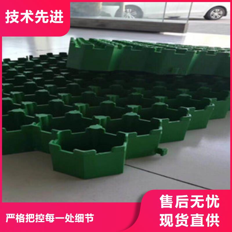 【环保植草格】植草格厂家货源直供