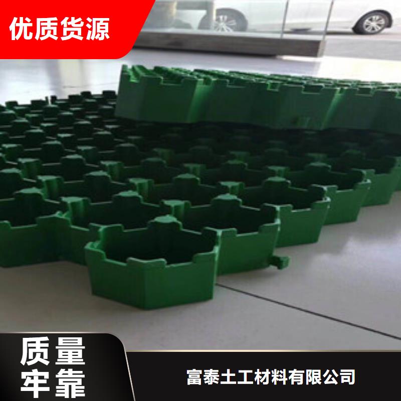 【环保植草格】植草格厂家货源直供