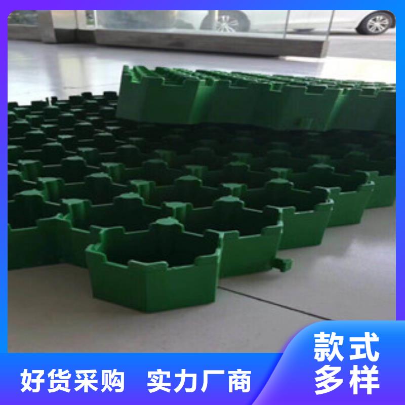环保植草格_土工膜厂家海量货源