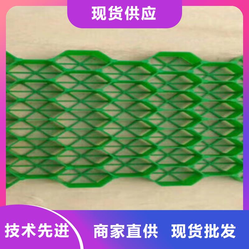 环保植草格_土工膜厂家海量货源