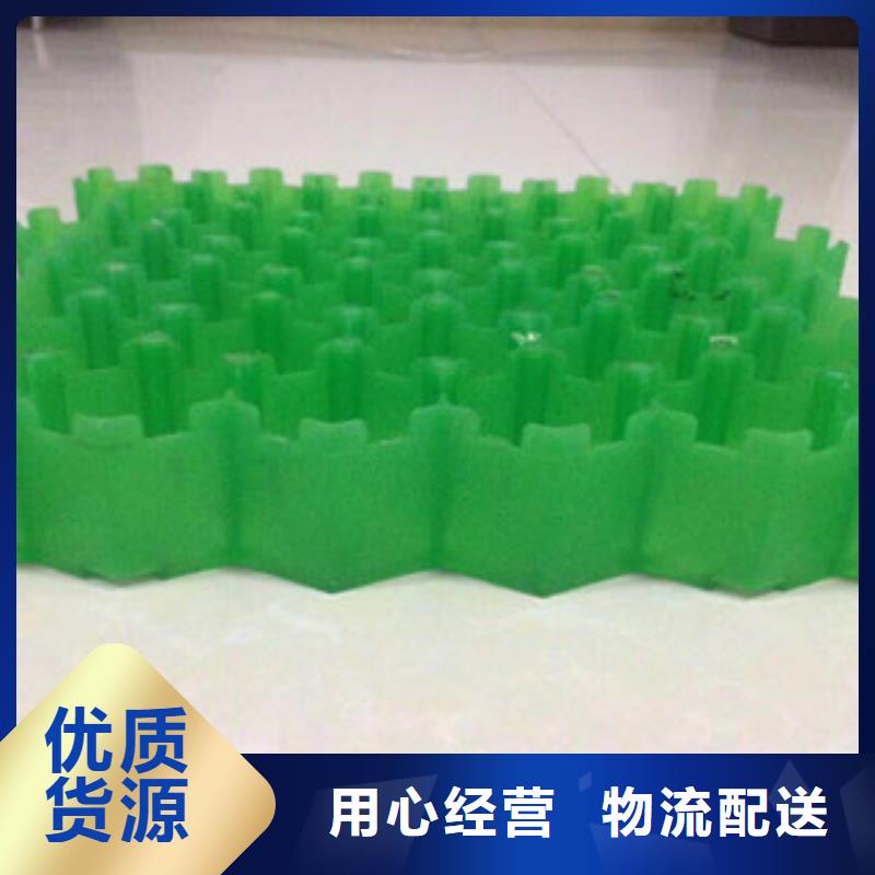 环保植草格_无纺布厂家拥有核心技术优势