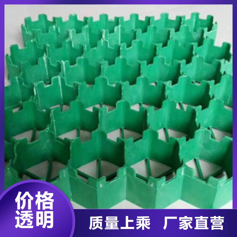 环保植草格_土工膜厂家海量货源