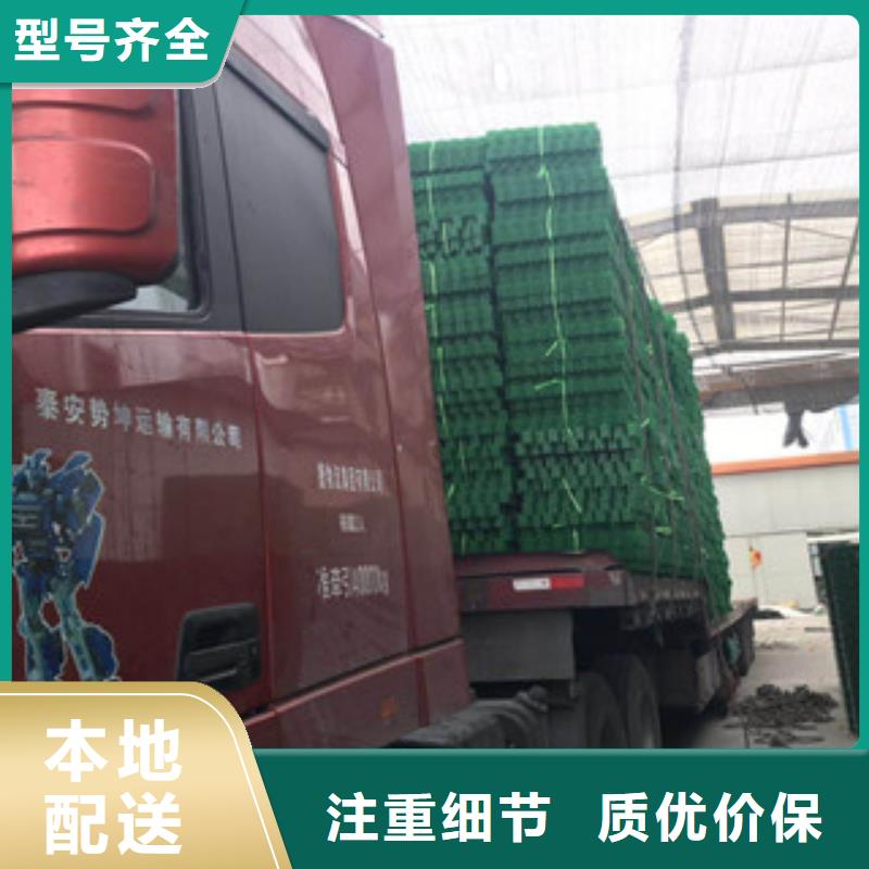 环保植草格_土工膜厂家海量货源