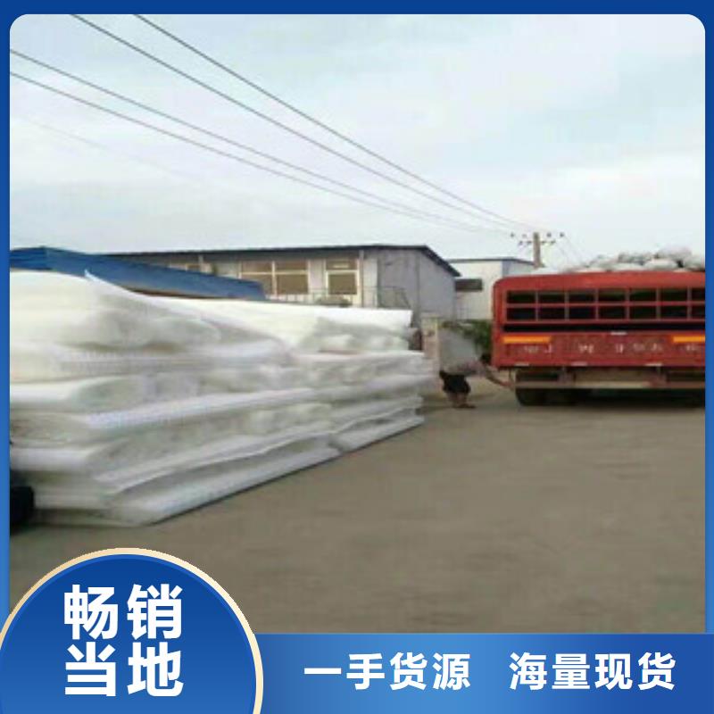 塑料排水板生态袋厂家真材实料
