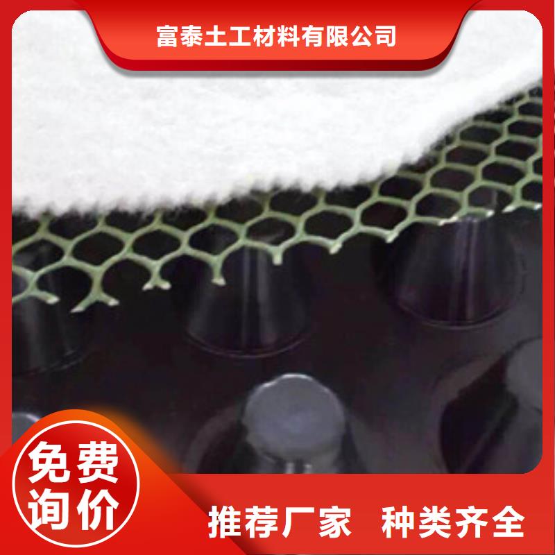 塑料排水板土工膜厂家质量安心