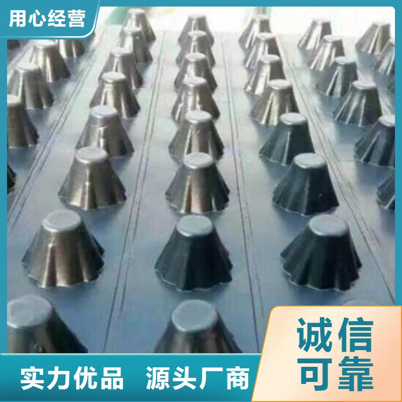 塑料排水板土工膜厂家专业品质