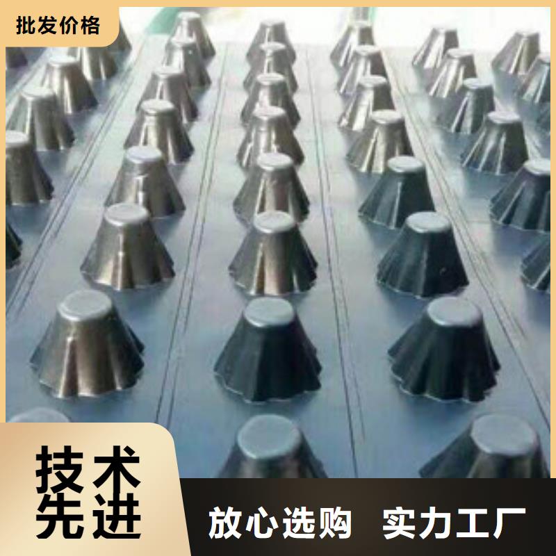 塑料排水板土工膜厂家现货批发