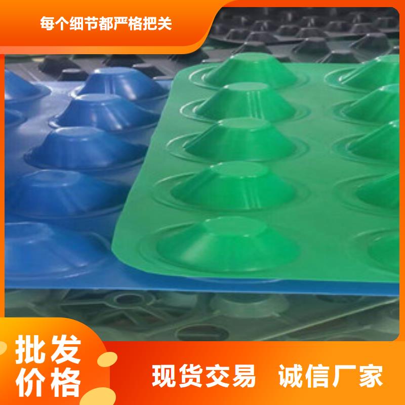 塑料排水板蓄排水板厂家快捷的物流配送