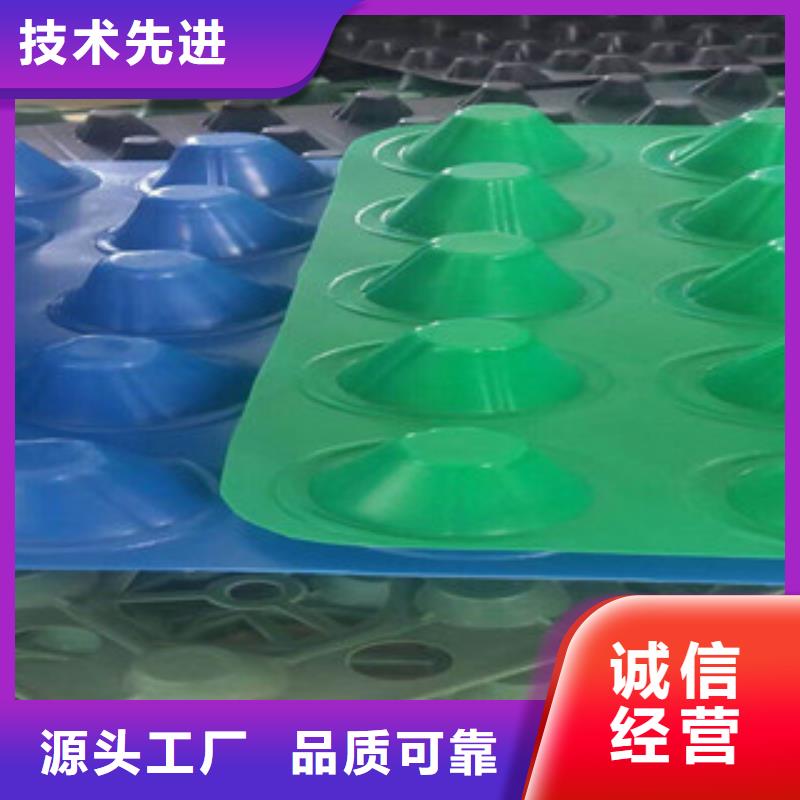 塑料排水板土工膜厂家现货批发