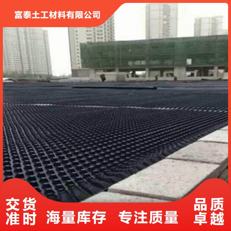 塑料排水板生态袋厂家真材实料
