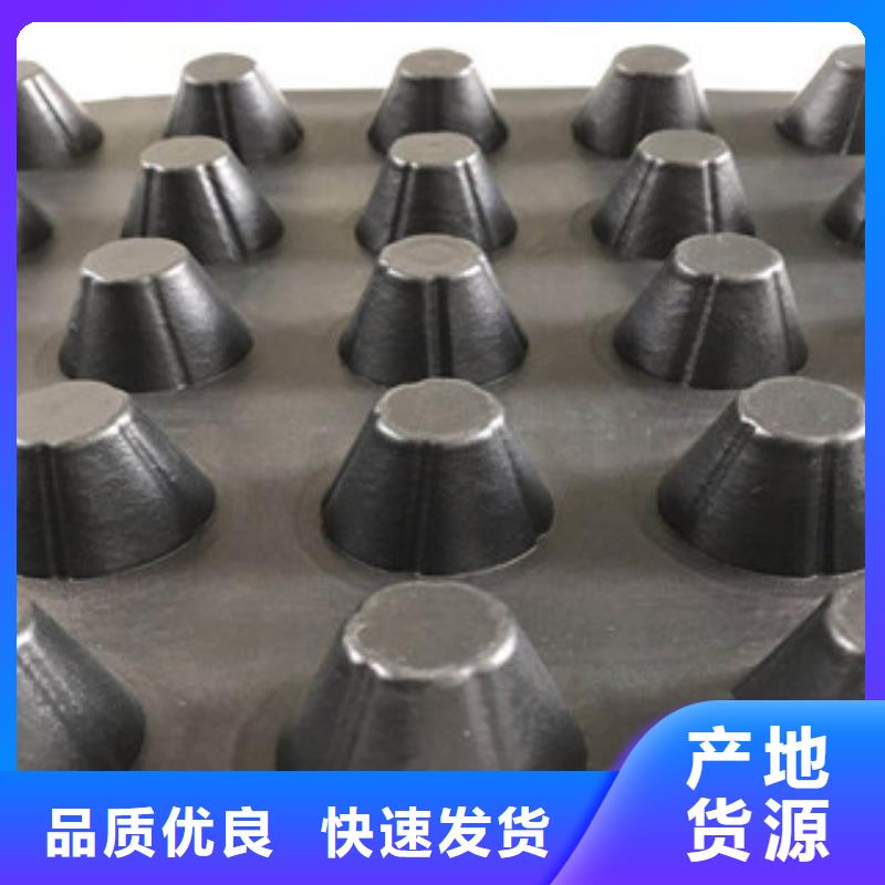 塑料排水板土工膜厂家品牌专营