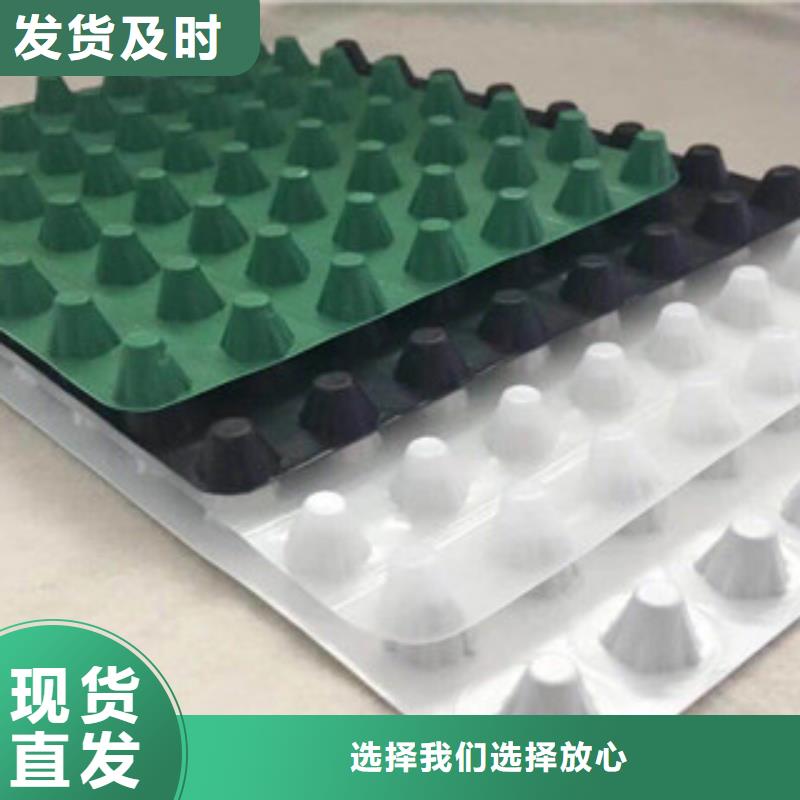 塑料排水板土工膜厂家质量安心