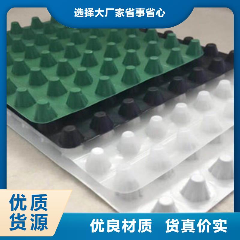 塑料排水板土工膜厂家现货批发