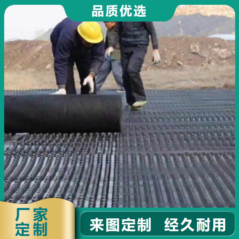 塑料排水板蓄排水板厂家快捷的物流配送