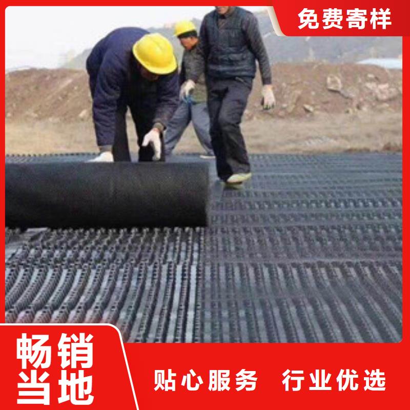 塑料排水板蓄排水板厂家价格实惠工厂直供