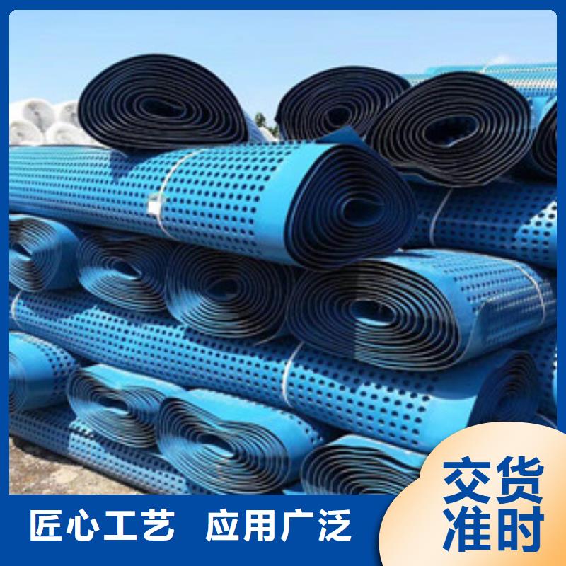 塑料排水板土工膜厂家品牌专营