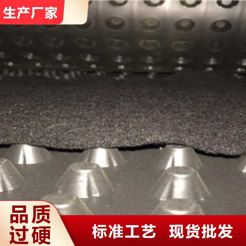 【塑料排水板】蓄排水板厂家海量库存