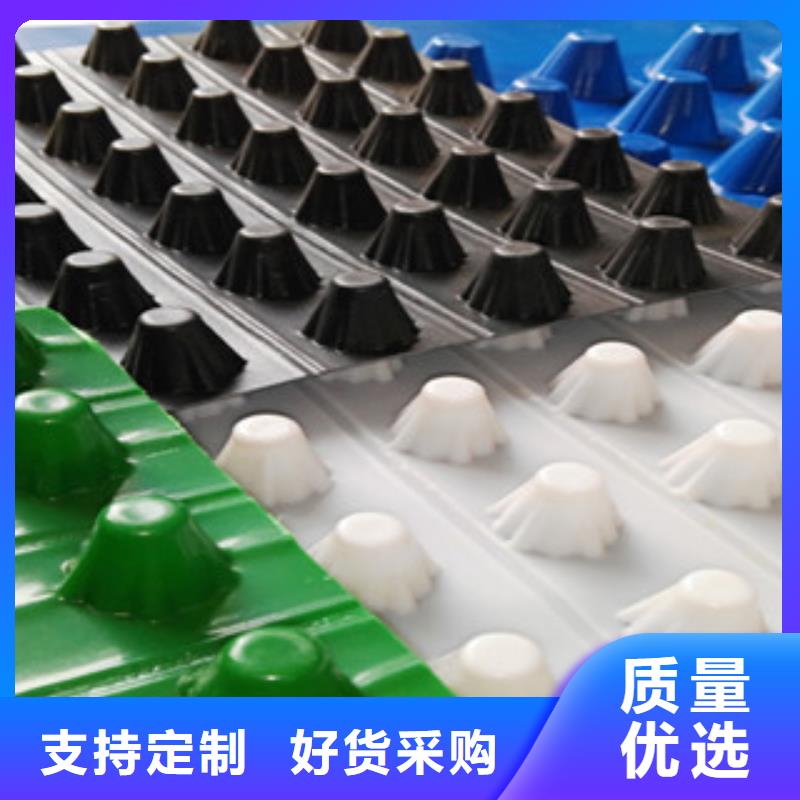 【塑料排水板】蓄排水板厂家海量库存