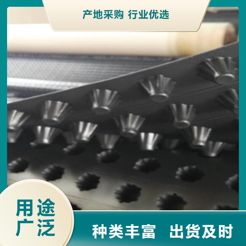 塑料排水板蓄排水板厂家快捷的物流配送