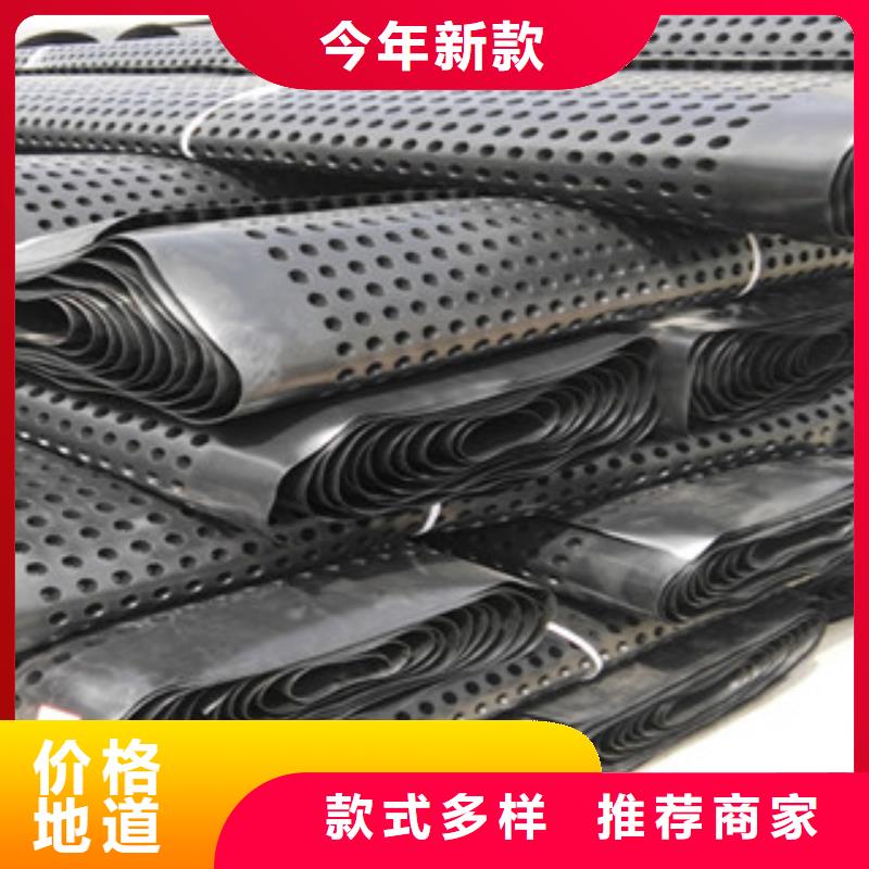 塑料排水板土工膜厂家质量安心