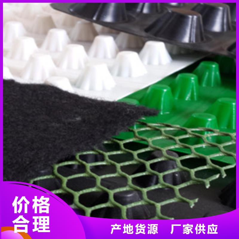 塑料排水板蓄排水板厂家价格实惠工厂直供