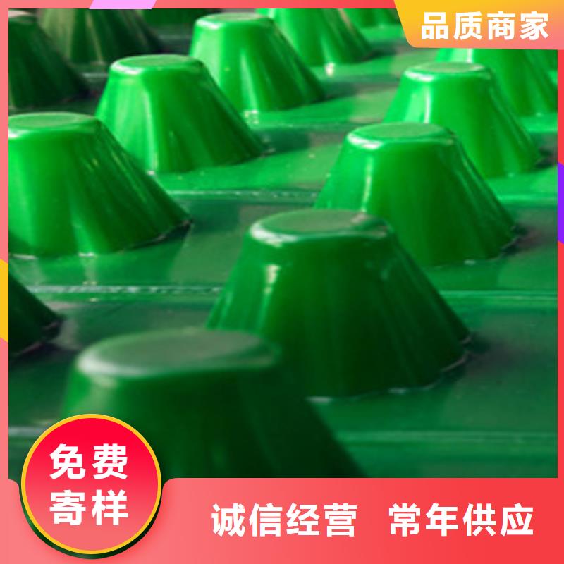 塑料排水板蓄排水板厂家价格实惠工厂直供