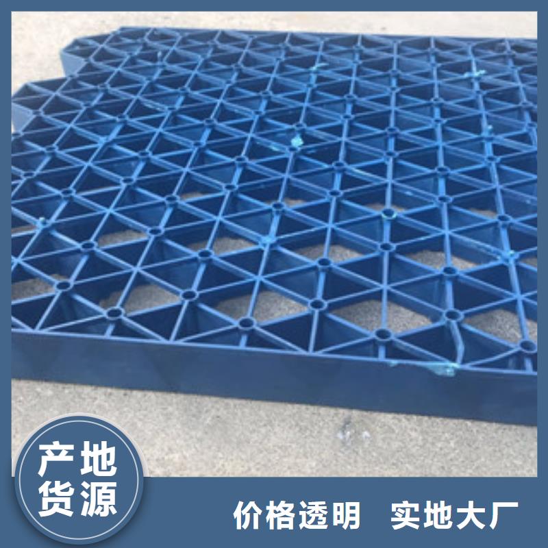 40厚植草格施工方法