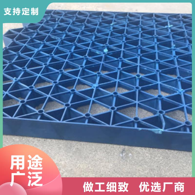 5公分加强型植草格厂家电话