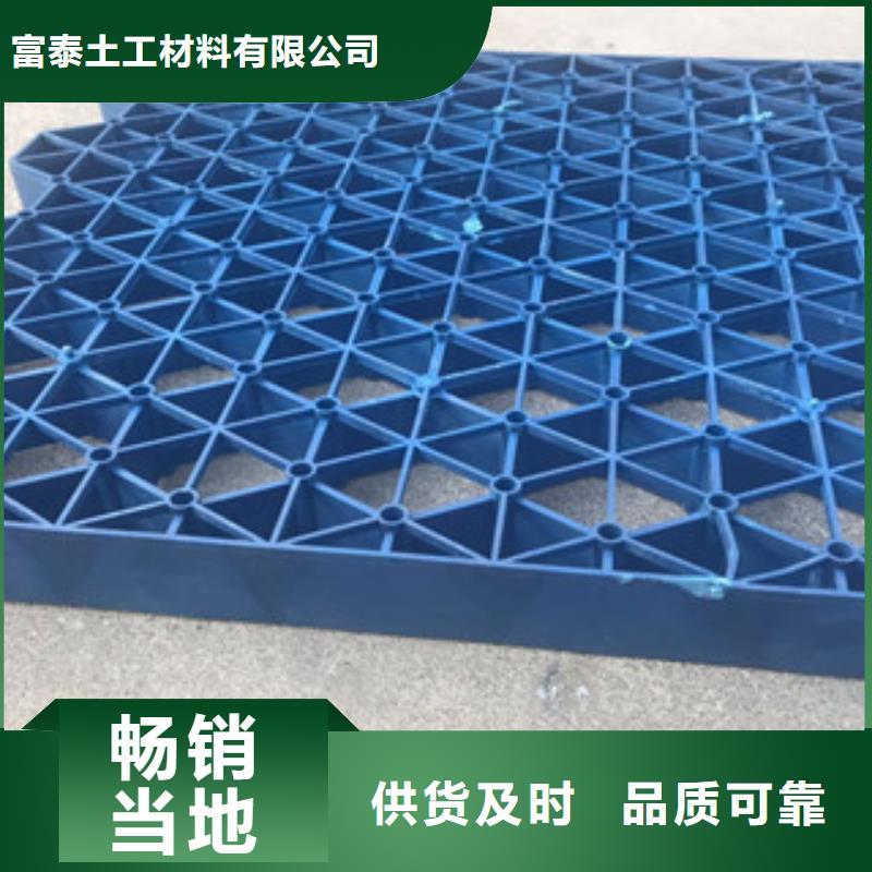 植草格土工布厂家厂家直销