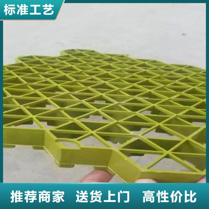 植草格土工布厂家技术先进