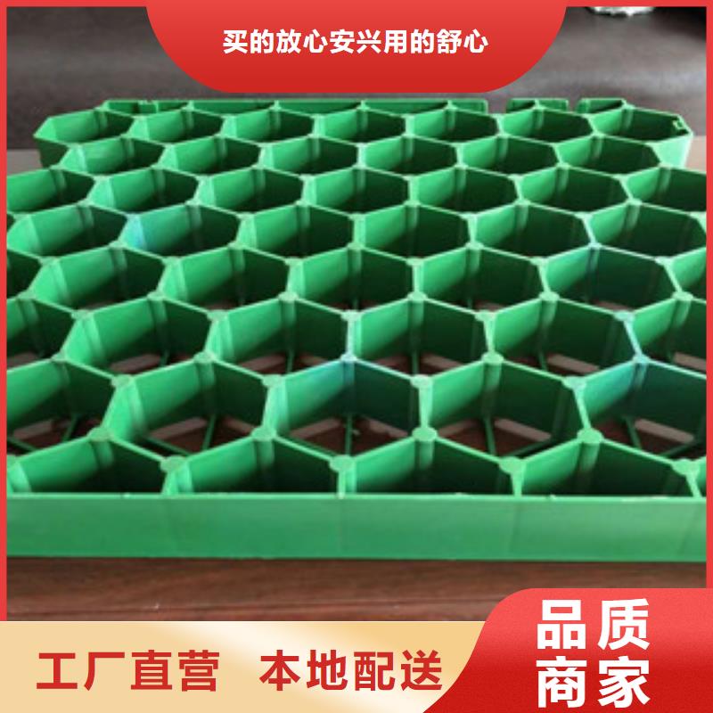 50厚植草格厂家电话