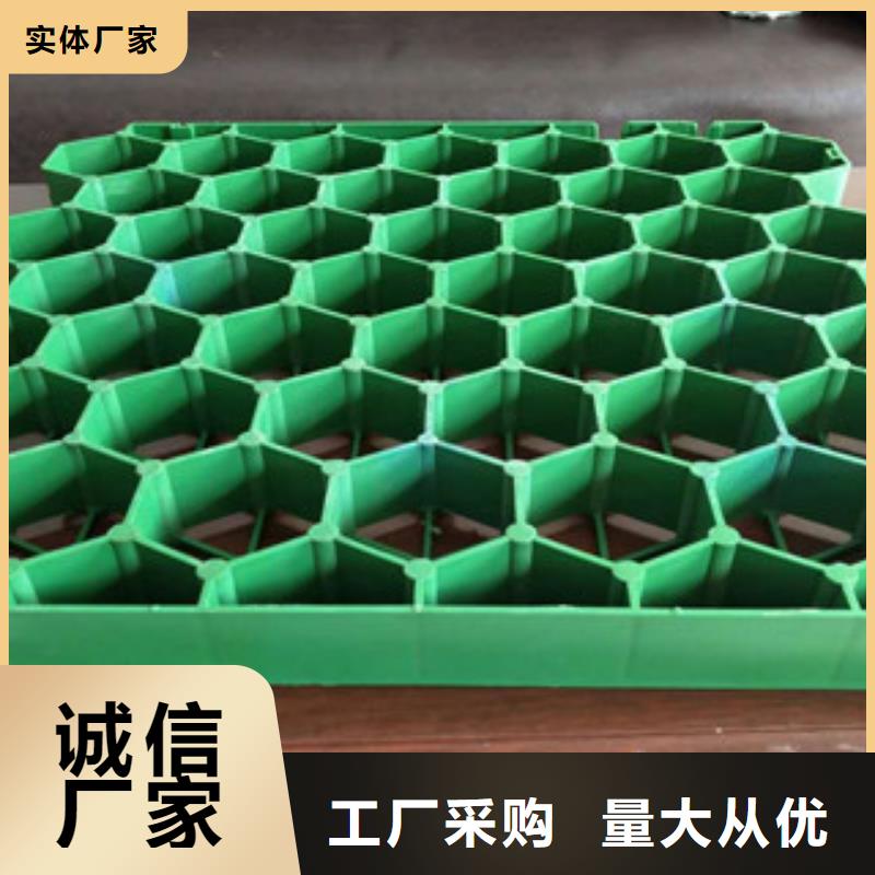 70厚植草格生产厂家