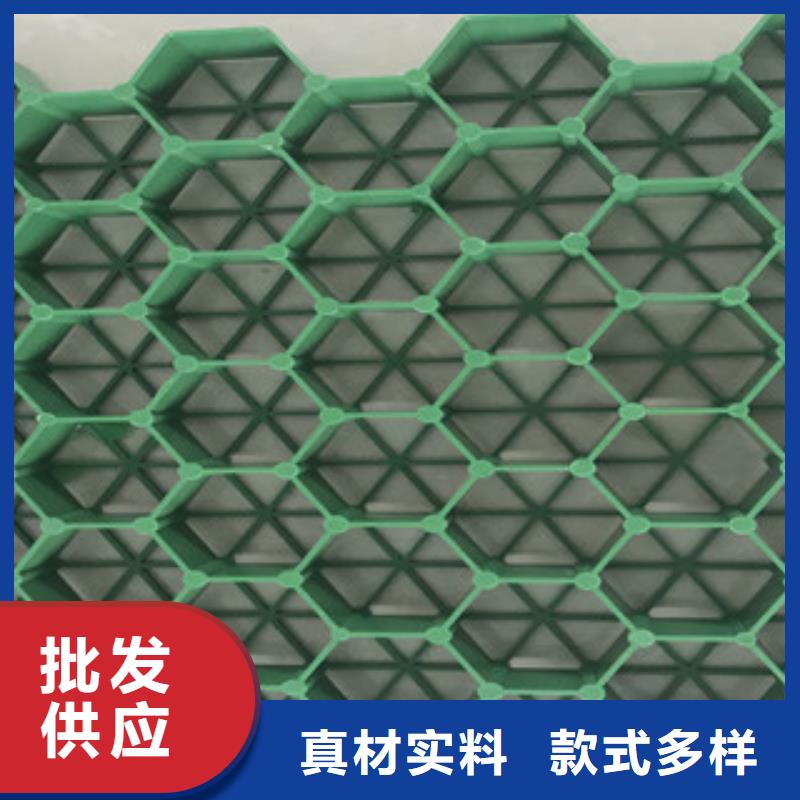 50厚植草格工厂地址及价格