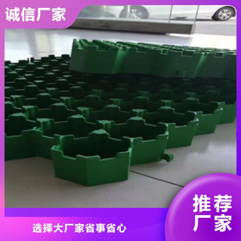 植草格植草格厂家定制零售批发