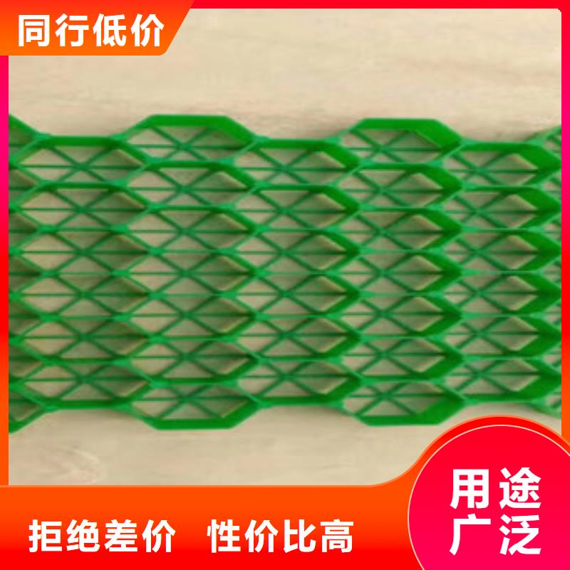 50厚植草格工厂地址及价格