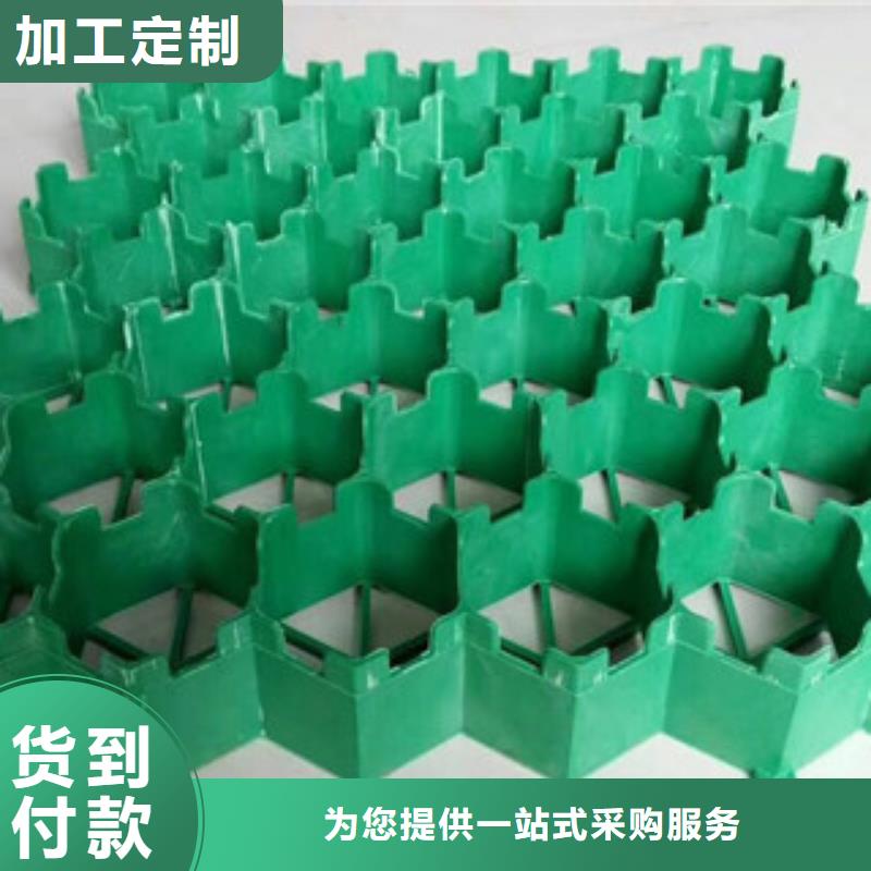 70厚植草格生产厂家